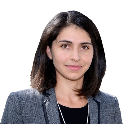 Ani Artenyan
